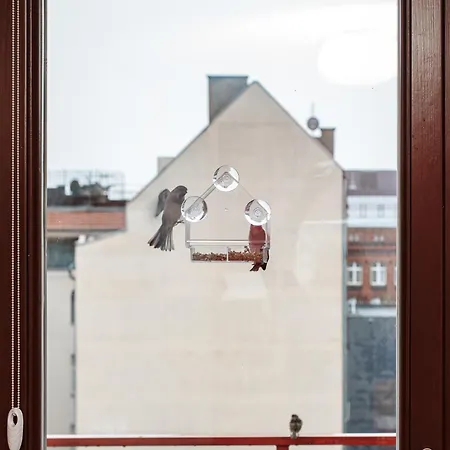 Aura Wroclaw