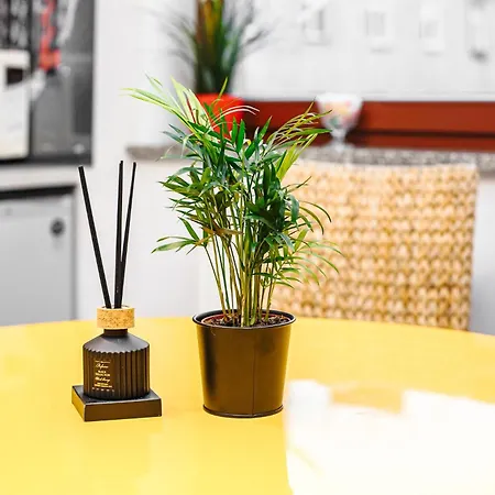 Апартаменты Aura Вроцлав