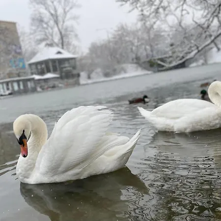 Апартаменты Aura Вроцлав