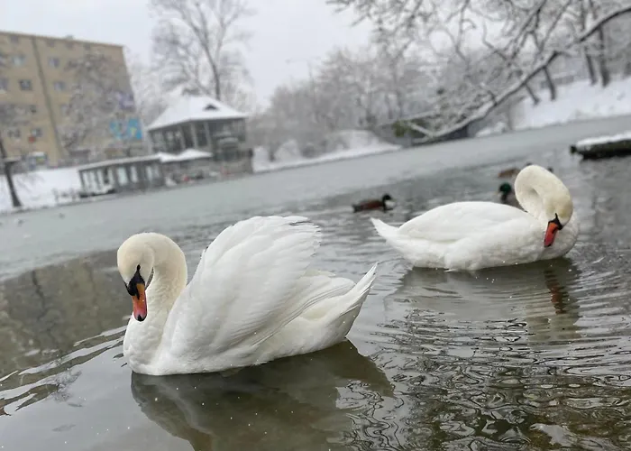 Apartman Aura Wrocław
